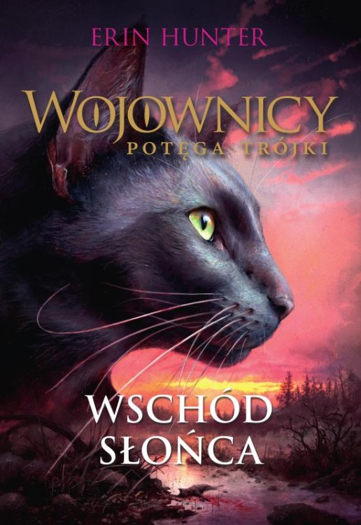 Wschód słońca. Wojownicy. Potęga Trójki. Tom 6...