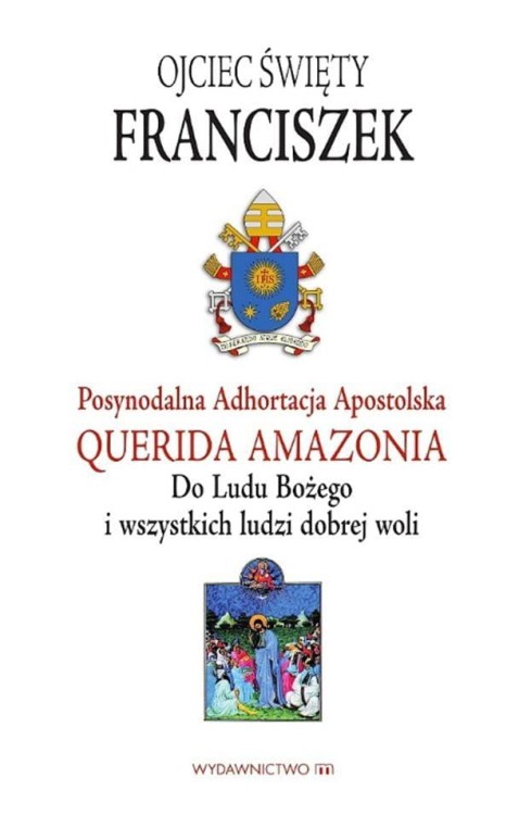 Querida amazonia, Papież Franciszek