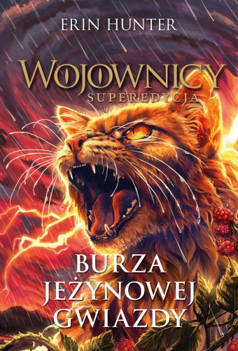 Burza Jeżynowej Gwiazdy. Wojownicy....