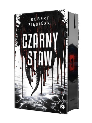 Czarny Staw (ilustrowane brzegi), Robert Ziębiński