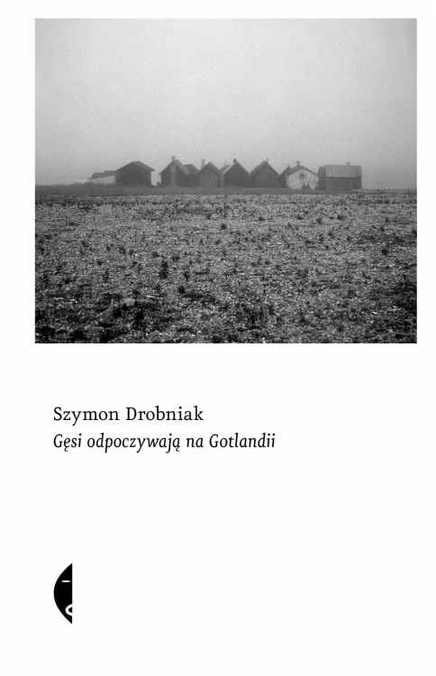 Gęsi odpoczywają na Gotlandii, Szymon Drobniak