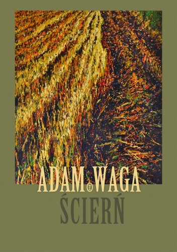 Ścierń, Adam Waga