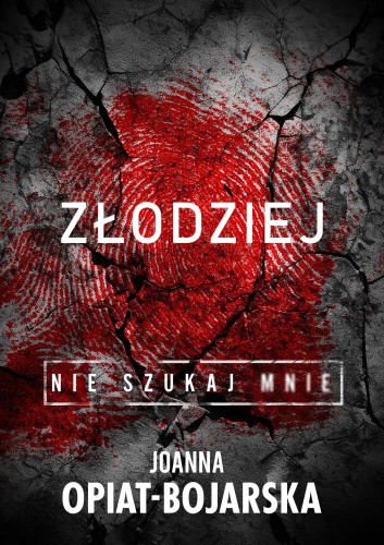 Złodziej. Nie szukaj mnie. Tom 1