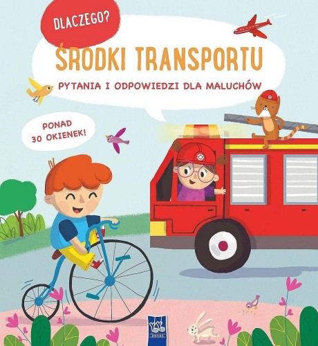 Środki transportu. Dlaczego? pytania i...