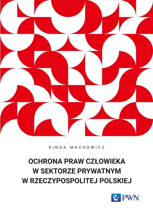 Ochrona praw człowieka w sektorze prywatnym w...