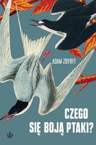 Czego się boją ptaki?, Adam Zbyryt