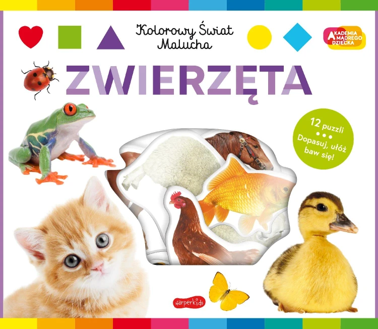 Zwierzęta. Akademia mądrego dziecka. Kolorowy...