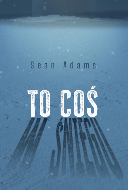 To coś w śniegu, Sean Adams