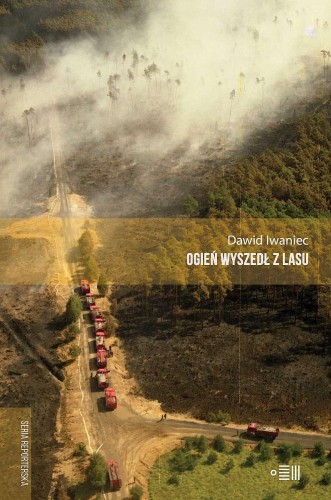 Ogień wyszedł z lasu, Dawid Iwaniec