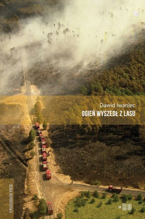 Ogień wyszedł z lasu, Dawid Iwaniec