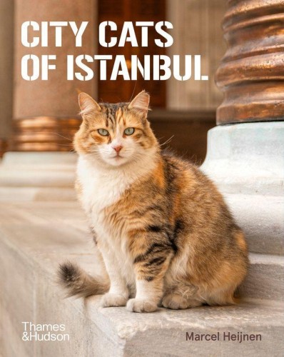 City Cats of Istanbul, Marcel Heijnen
