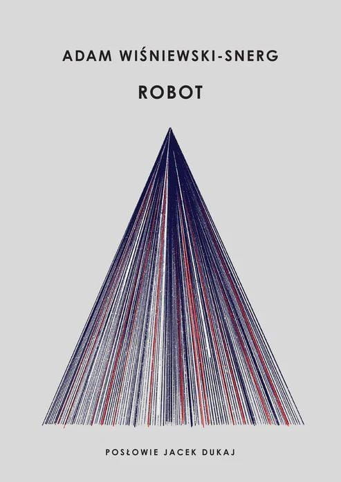 Robot, Adam Wiśniewski-Snerg