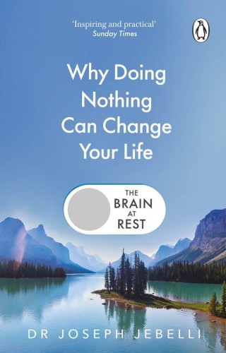 The Brain at Rest. Why doing nothing can...