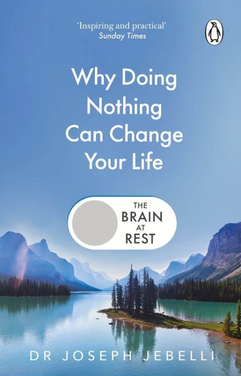 The Brain at Rest. Why doing nothing can...