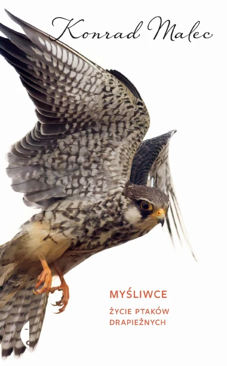 Myśliwce, Konrad Malec