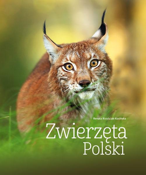 Zwierzęta Polski wyd. 2026, Renata Kosińska