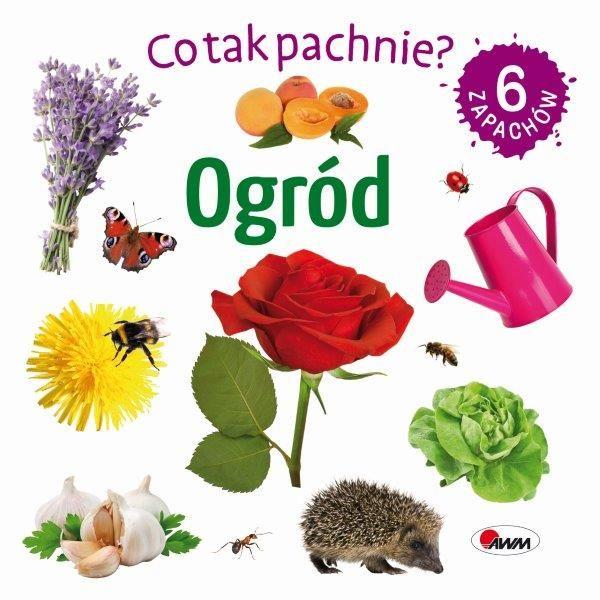 Ogród. Co tak pachnie?, Opracowanie zbiorowe