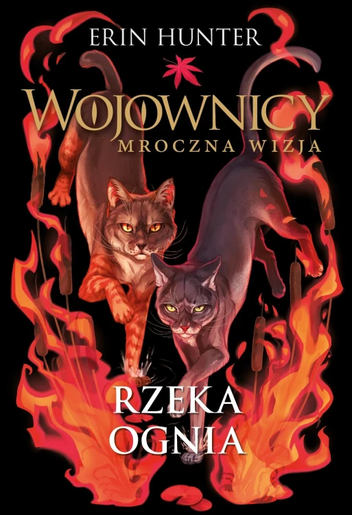 Rzeka ognia. Wojownicy. Mroczna wizja, Erin Hunter