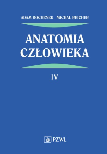 AnaTomia człowieka. Tom 4