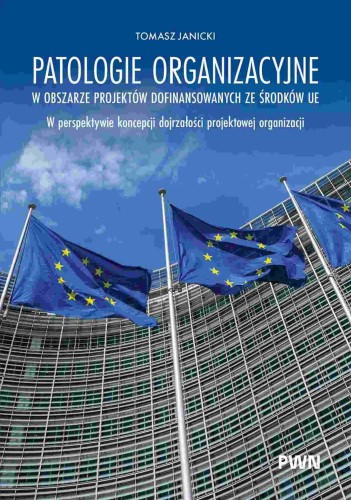 Patologie organizacyjne w obszarze projektów...