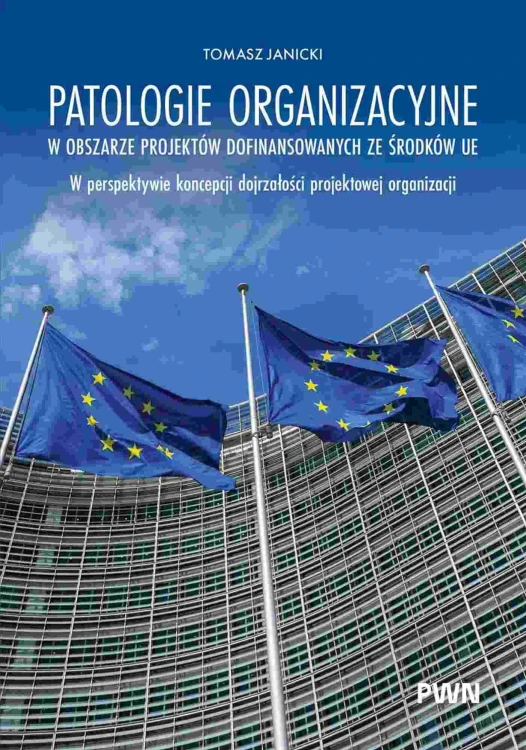 Patologie organizacyjne w obszarze projektów...