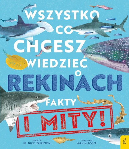 Wszystko, co chcesz wiedzieć o rekinach. Fakty...