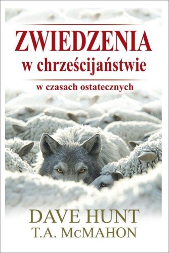Zwiedzenia w chrześcijaństwie w czasach...