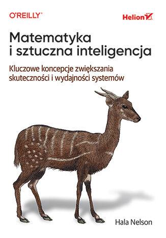 Matematyka i sztuczna inteligencja. Kluczowe...