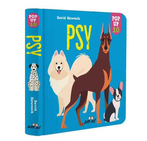 Psy. POP-UP, Dawid Hawcock