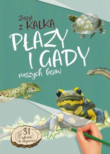 Płazy i gady naszych lasów. Zeszyt z kalką...