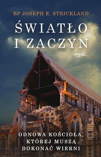 Światło i zaczyn. Odnowa Kościoła, której...