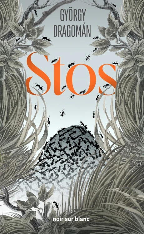 Stos, György Dragoman
