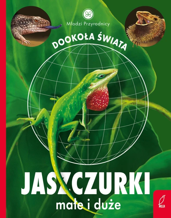 Jaszczurki małe i duże. Młodzi przyrodnicy....