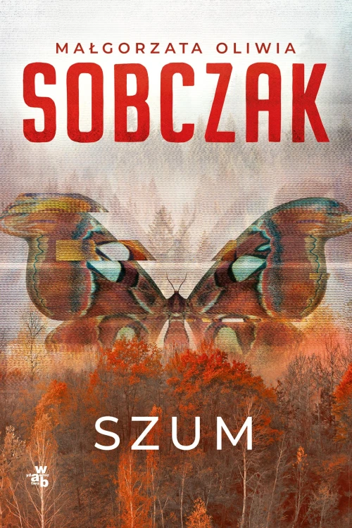 Szum. Granice ryzyka. Tom 2