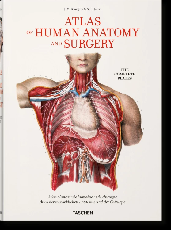 Bourgery. Atlas of Human Anatomy and Surgery...