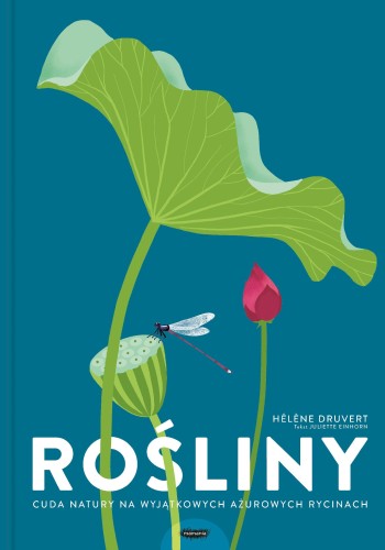 Rośliny. Cuda natury na wyjątkowych ażurowych...