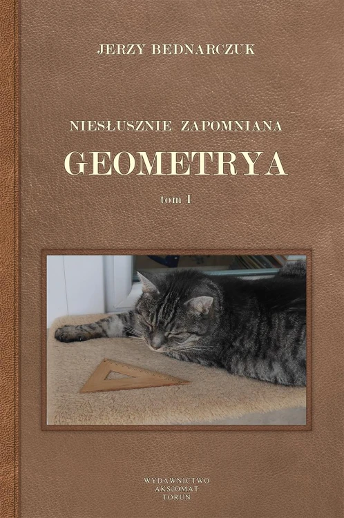 Niesłusznie zapomniana geometria tom I
