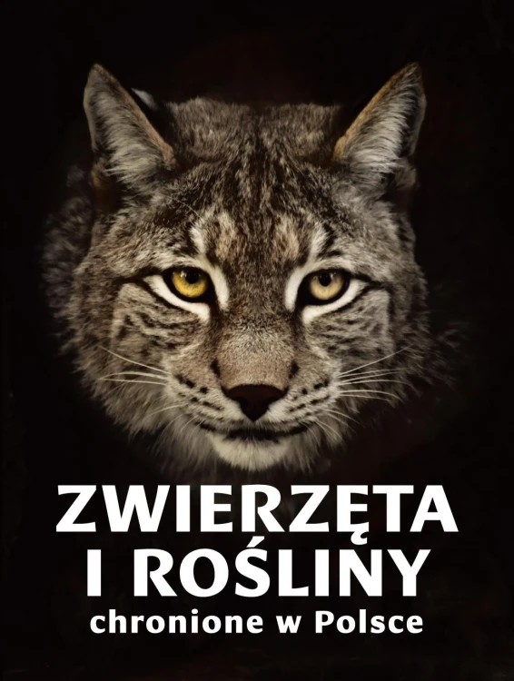 Zwierzęta i rośliny chronione w Polsce