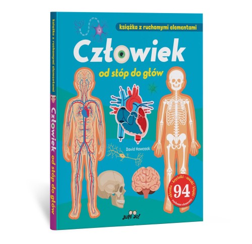 Człowiek od stóp do głów. Książka z ruchomymi...