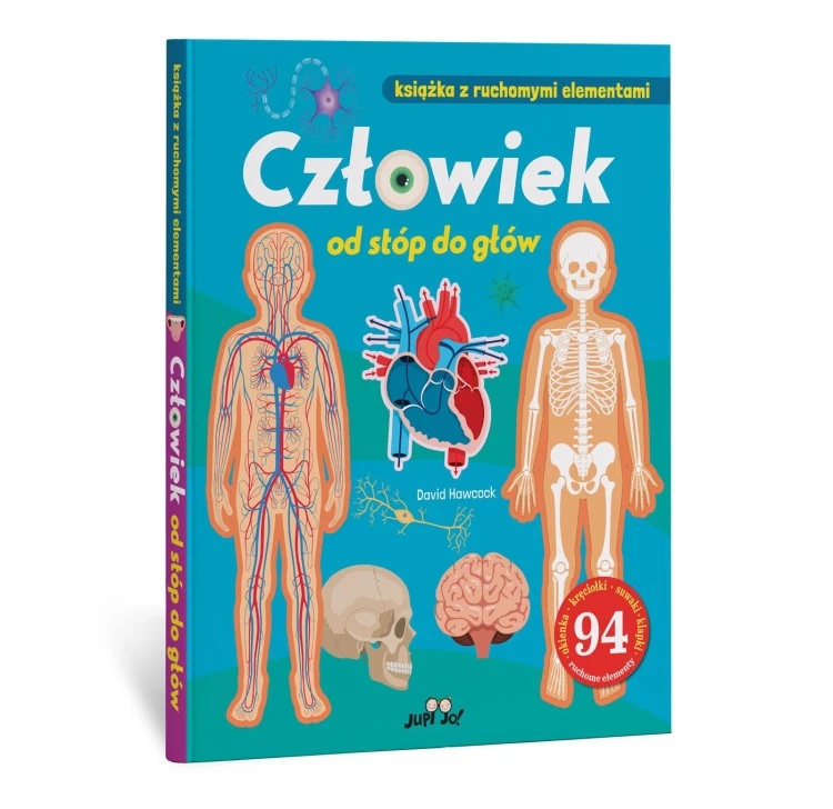 Człowiek od stóp do głów. Książka z ruchomymi...