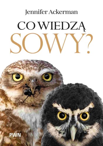 Co wiedzą sowy?, Jennifer Ackerman