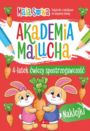 4 latek ćwiczy spostrzegawczość. Akademia malucha