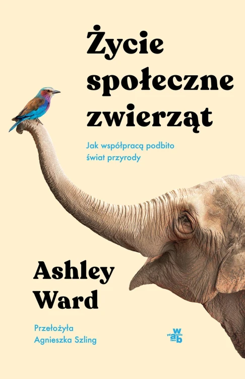 Życie społeczne zwierząt. Jak współpracą...