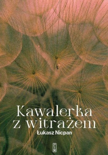 Kawalerka z witrażem, Łukasz Nicpan