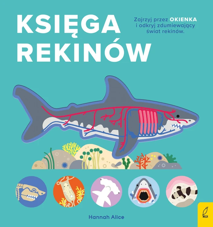 Księga rekinów. Encyklopedia z folią