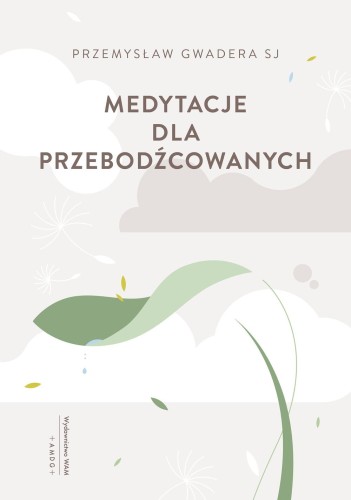 Medytacje dla przebodźcowanych, Przemysław Gwadera