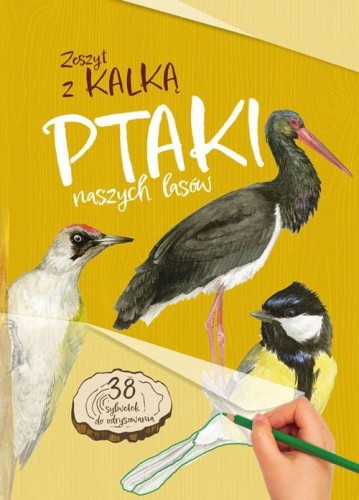 Ptaki naszych lasów. Zeszyt z kalką wyd. 2025