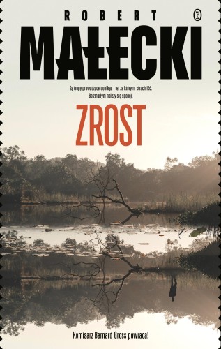 Zrost. Bernard Gross. Tom 4, Robert Małecki