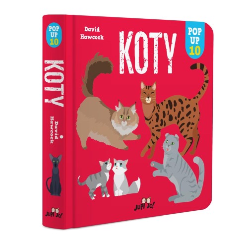 Koty. Pop-up, David Hawcock