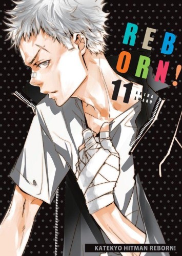Katekyo Hitman Reborn! Tom 11, Akira Amano
